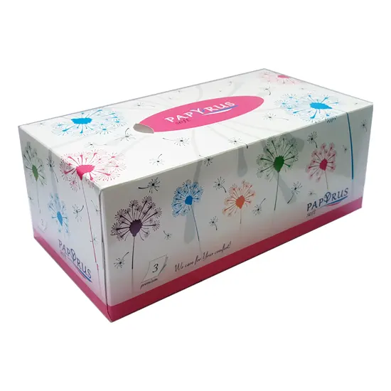 Napkins 3-ply in rectangular box, size 23x8.5x11.5 cm, 100 pcs