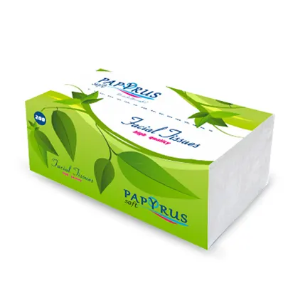 Անձեռոցիկ  երկշերտ, պոլիԷթիլենային փաթեթի մեջ, 200 հատ