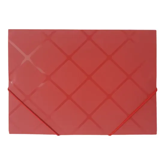 Action case with elastic bands, A4 format, plastic