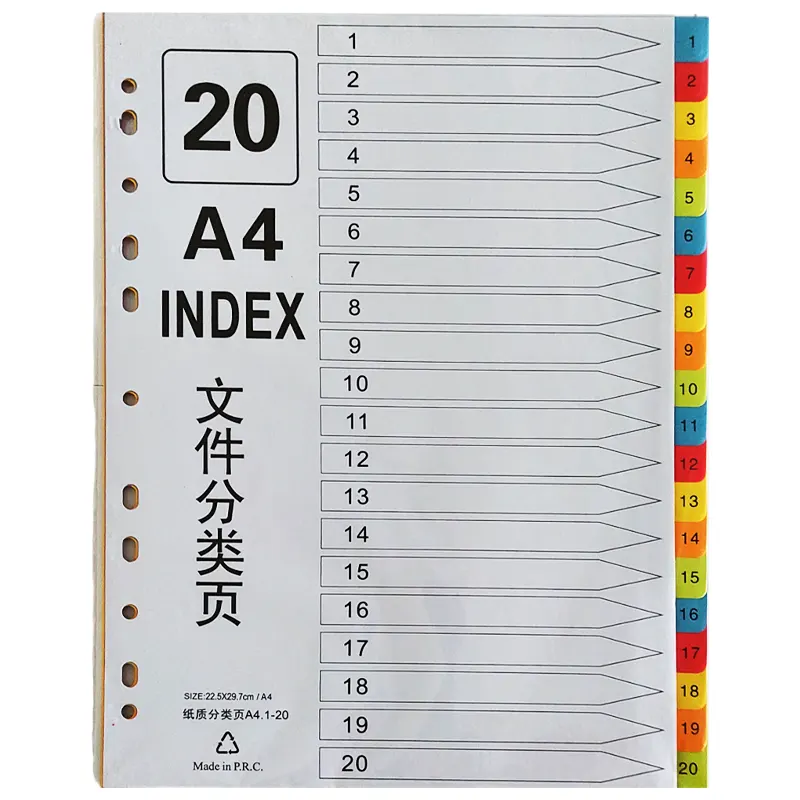 Page divider, paper, A4 format, colored, numeric, 20 sections
