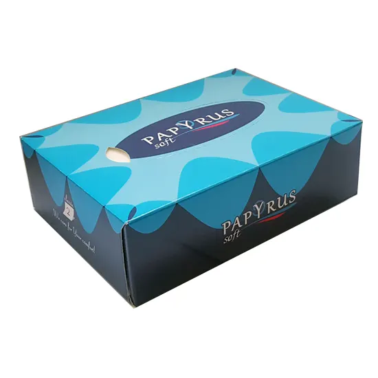 Napkins, two-ply, in rectangular box, size 15x4.7x11 cm, 100 pcs