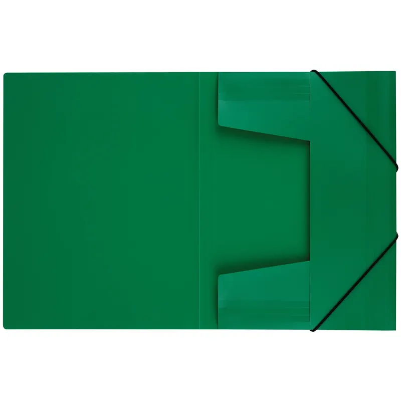 Action case with elastic bands, A4 format