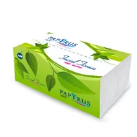 Napkins, two-ply, in polyethylene pack, 220 pcs.