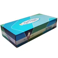 Napkins, two-ply, in rectangular box, size 22.5x4.7x11 cm, 100 pcs