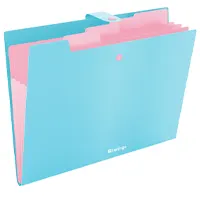 Folder with button, 4 subsections., blue.