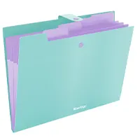 Folder with button, 4 subsections, mint
