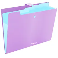 Folder with button, 4 subsections, violet