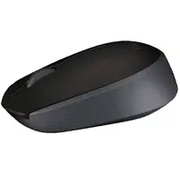 Беспроводная мышь Logitech M171, соеденение USB черная (L910-004643)