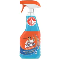 Cleaning liquid for ceramic, plastic, glass surfaces, contains alcohol, with pulverizer, 500 ml, after rain