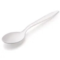 Table spoon disposable, 100 pieces.